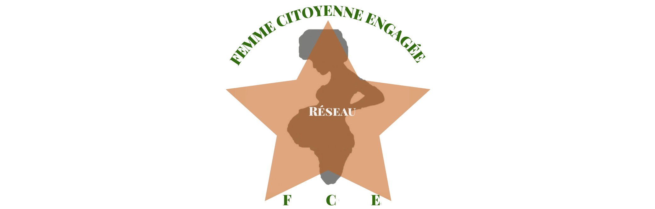 Réseau FCE